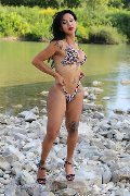 Foto Adriana Paulett Annunci Trans Paese 3891399263 - 81