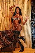 Foto Alessandra Gatta Nera Annunci Trans Vercelli 3488811524 - 50