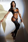 Foto Alessandra Gatta Nera Annunci Trans Vercelli 3488811524 - 169