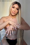 Foto Angel Bunny Annunci Trans Verona 3474642611 - 1