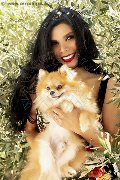 Foto Ariadna Annunci Trans Palermo 3887519396 - 62