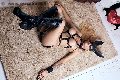 Foto Bruna Mor Annunci Trans Roma 3510998222 - 30