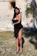 Foto Delizia Malizia Annunci Trans Matera 3511575349 - 3