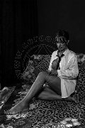 Foto Lisa Valle Annunci Trans Savona 3341087500 - 25