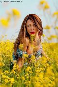 Foto Monica Kicelly Annunci Trans Firenze 3245833097 - 208