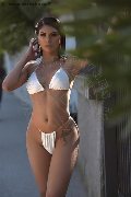 Foto Paula Bituschini Annunci Trans Genova 3898857998 - 114