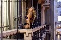 Foto Rayca Annunci Trans Berna 3485638746 - 256
