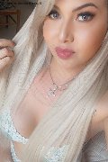 Viareggio Trans Dafne Pornostar 380 14 22 205 foto selfie 32