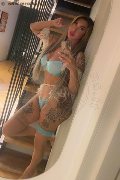 Viareggio Trans Dafne Pornostar 380 14 22 205 foto selfie 12