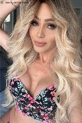 Bologna Trans Fernanda Ambrosio 327 78 03 350 foto selfie 13