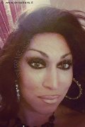  Trans Lady B 340 83 17 576 foto selfie 47
