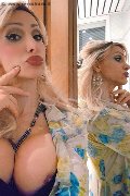 Monza Trans Regina Audrey Italiana 388 98 31 116 foto selfie 216