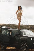 Foto Vanessa Hilton Annunci Trans Brescia 3245846577 - 110