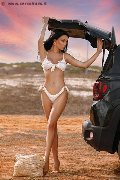 Foto Vanessa Hilton Annunci Trans Brescia 3245846577 - 109