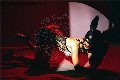 Foto Vanessa Hilton Annunci Trans Brescia 3245846577 - 132