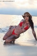 Foto Bruninha Annunci Trans Avellino 3508578851 - 31