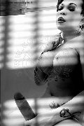Foto Hot Dior Annunci Trans Treviso 3472825420 - 138