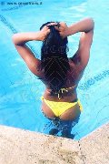 Foto Naomy Xl Annunci Trans Genova 3290167932 - 138