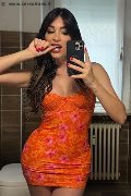 Roma Trans Safina 334 25 85 465 foto selfie 5