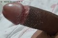 Prato Trans Tain� Oliveira 328 53 82 487 foto selfie 173