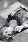 Foto Svenja Annunci Trans Ginsheim Gustavsburg 00491729574303 - 2