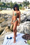 Foto Vivy Noronha Annunci Trans Sanremo 3331867209 - 21